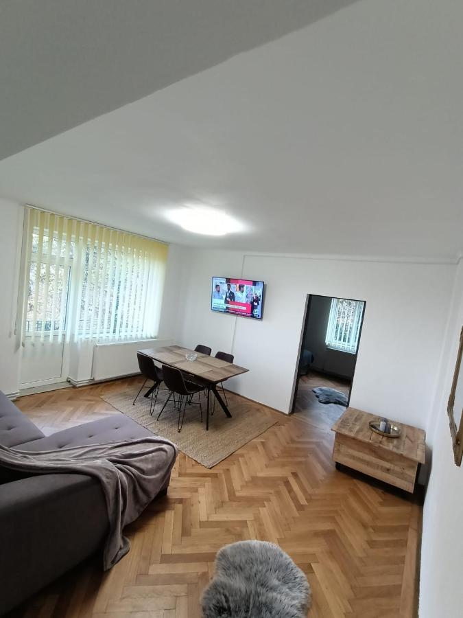 Vintage Gray Apartament Braşov Exterior foto
