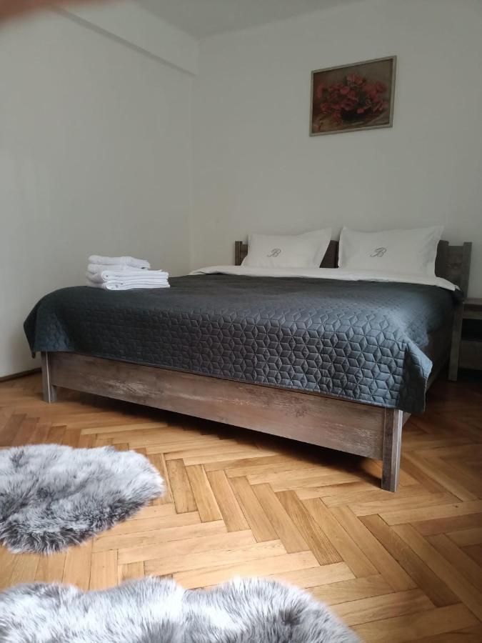 Vintage Gray Apartament Braşov Exterior foto
