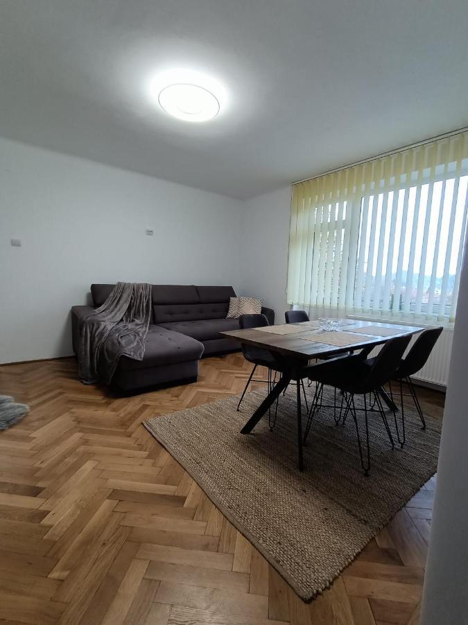 Vintage Gray Apartament Braşov Exterior foto