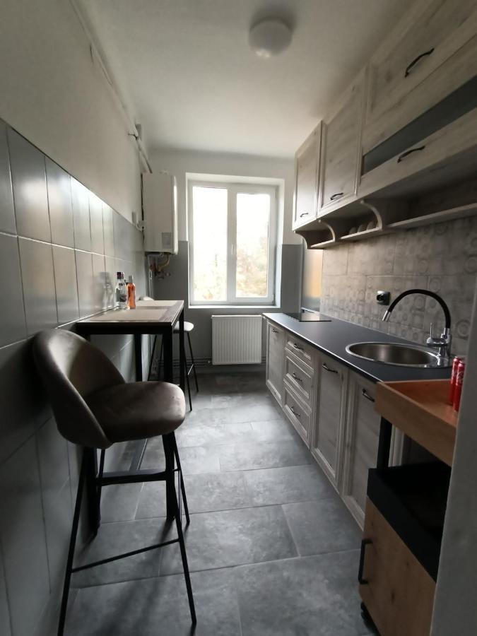 Vintage Gray Apartament Braşov Exterior foto